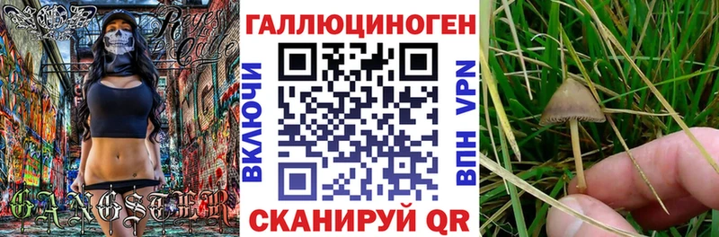 Псилоцибиновые грибы MAGIC MUSHROOMS  купить наркотик  Кохма 