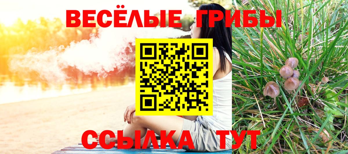 Галлюциногенные грибы Psilocybine cubensis Кохма
