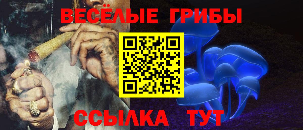 Кохма  Галлюциногенные грибы мицелий  Вход с VPN  Галлюциногенные грибы прущие грибы 