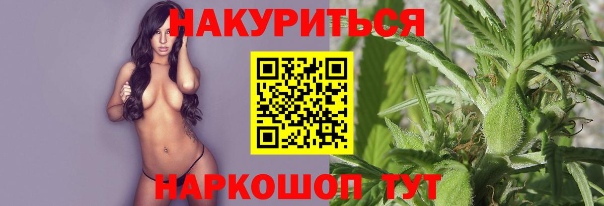 Бошки Шишки марихуана  Каннабис VHQ  Вход с VPN  Кохма 